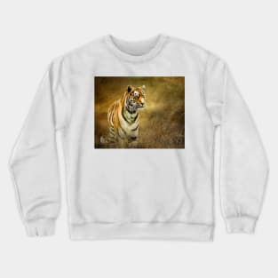 Tiger in the grass Crewneck Sweatshirt